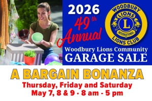 WB Lions 2026 heading